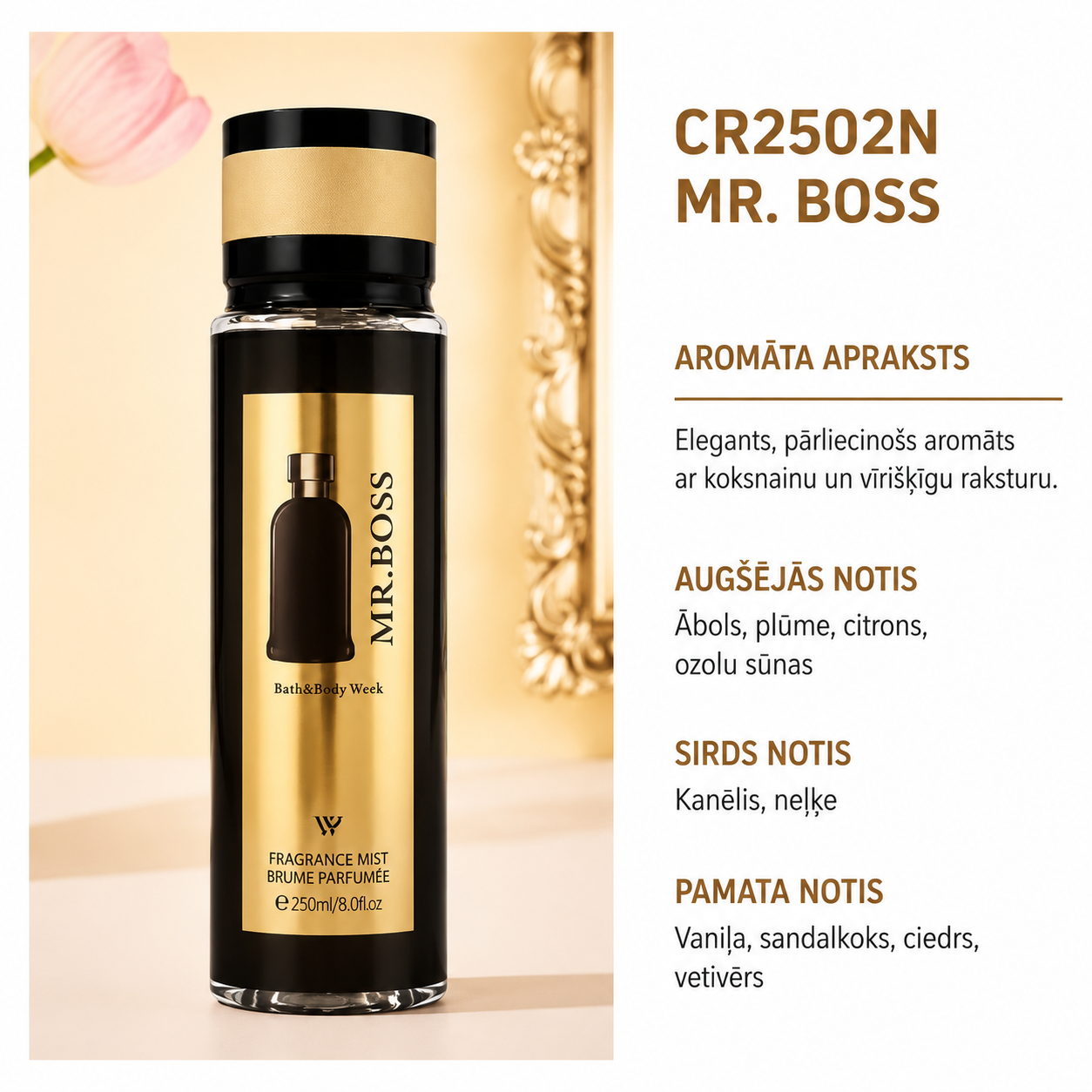 Dezodorants vīriešiem MR. Boss (250 ml)